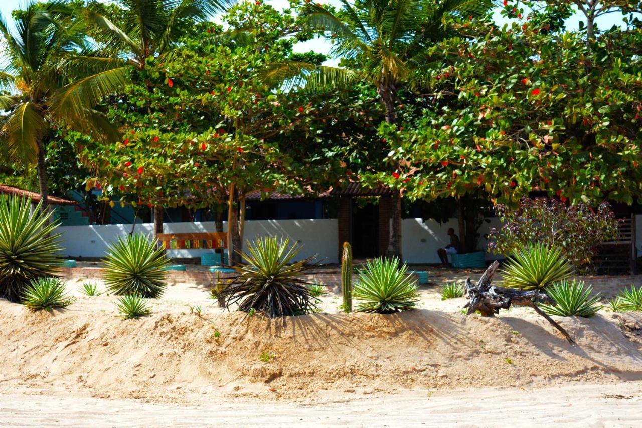 Hostel America Do Sul จีโจกา จี เจรีกวากวารา ภายนอก รูปภาพ